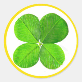 vierblättriges Kleeblatt der MUSEUM Zazzle Geschen Runder Aufkleber