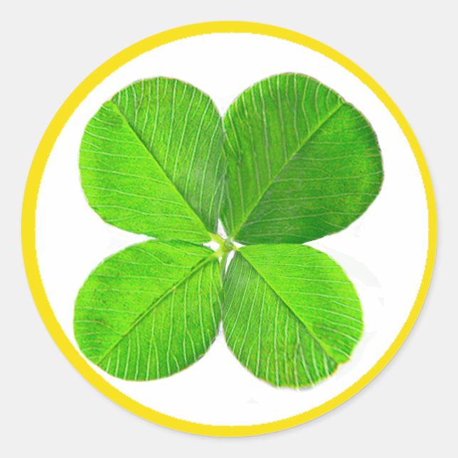 vierblättriges Kleeblatt der MUSEUM Zazzle Geschen Runder Aufkleber (Vorderseite)