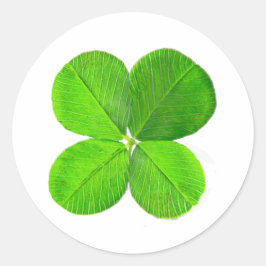 vierblättriges Kleeblatt der MUSEUM Zazzle Geschen Runder Aufkleber