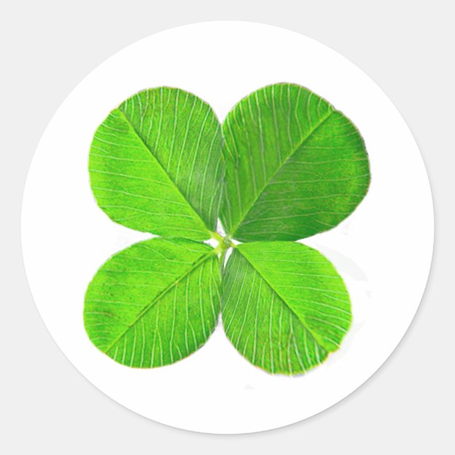 vierblättriges Kleeblatt der MUSEUM Zazzle Geschen Runder Aufkleber (Vorderseite)