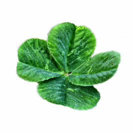 vierblättriges Kleeblatt gestalteter Fotoskulptur Schlüsselanhänger