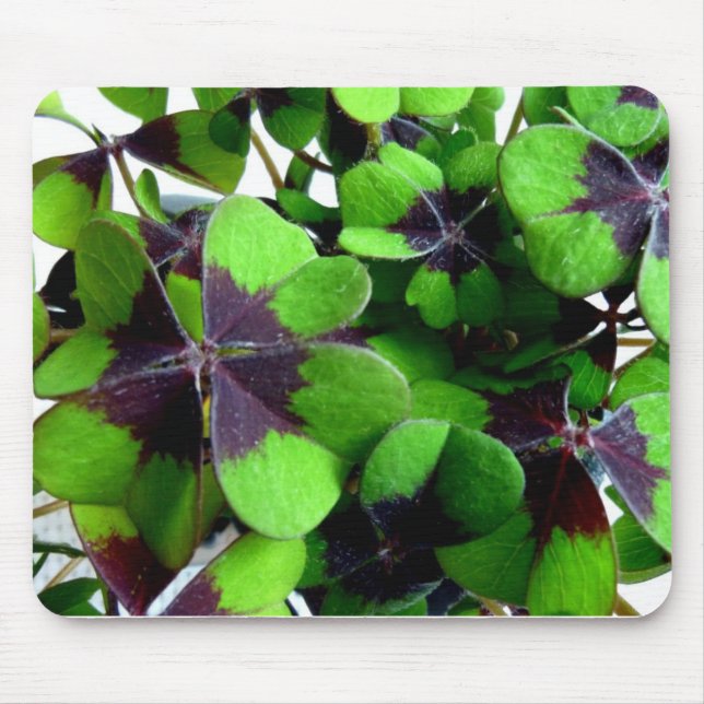 vierblättriges Kleeblatt Kleeblatt St. Patrick's L Mousepad (Vorne)