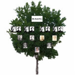 Viergenerationenstilisierter Grünleaf-Familienbaum Freistehende Fotoskulptur<br><div class="desc">Dieses Vier-Generationen-Stammbaumdiagramm wird auf einer ausgeschnittenen Statuette eines stilisierten grünen Blattbaums angezeigt. Personalisieren Sie mit Ihren eigenen Fotos. Wenn Sie Probleme mit der Personalisierung haben,  kontaktieren Sie mich bitte unter jen@jenaleefamilystorykeeper.com</div>