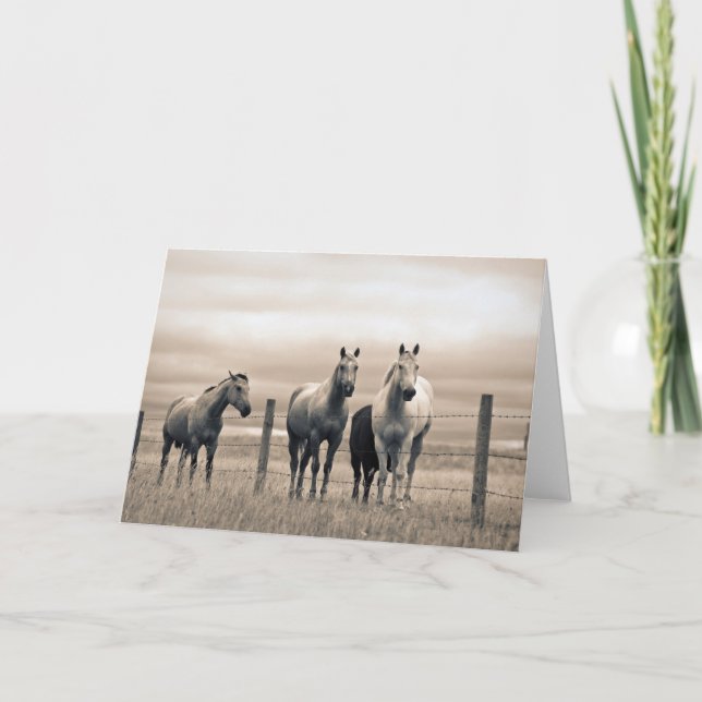 Viertelpferde auf der kanadischen Prärie Karte (Vorderseite)