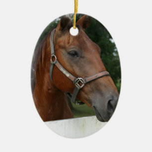 ViertelpferdeFoto-Verzierung Keramik Ornament