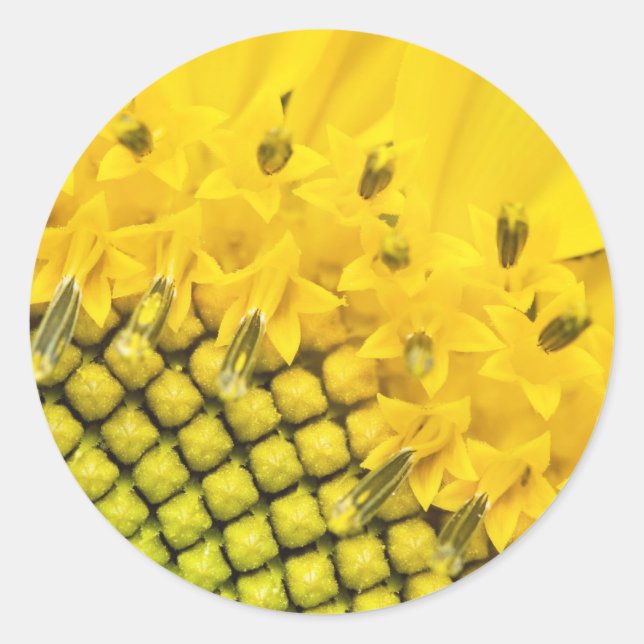 Viertersonne Runder Aufkleber (Vorderseite)