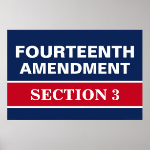 Vierzehnter Änderungsantrag Abschnitt 3 Verfassung Poster