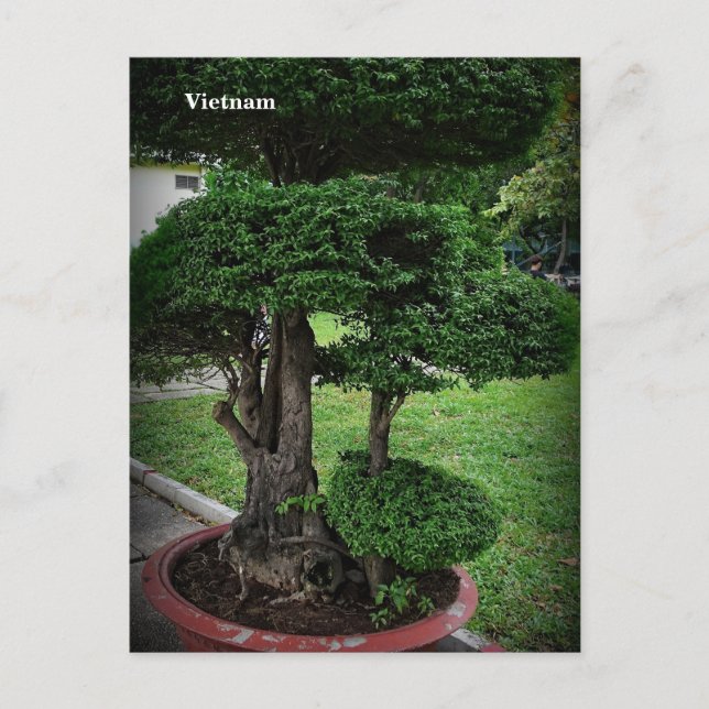 Vietnam Asia Street Fotografy Feiertagspostkarte (Vorderseite)