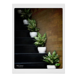 Vietnam Asia Street Fotografy Poster