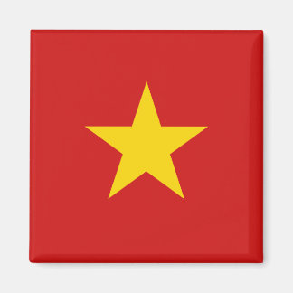 Vietnam Flag Magnet
