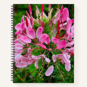 Vietnam - Flower on Ha Giang Plateau Notizbuch