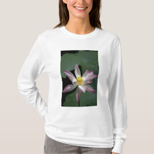 Vietnam, in der Nähe von Saigon) Mein Tho. Vinh T T-Shirt