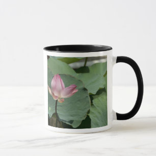 Vietnam, in der Nähe von Saigon) Mein Tho. Vinh T Tasse