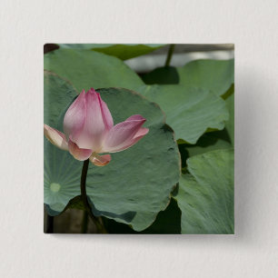 Vietnam, in der Nähe von Saigon) Mein Tho. Vinh Tr Button