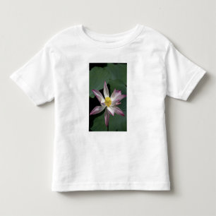 Vietnam, in der Nähe von Saigon) Mein Tho. Vinh Tr Kleinkind T-shirt
