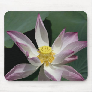 Vietnam, in der Nähe von Saigon) My Tho. Vinh Tran Mousepad