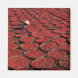 Vietnam. Kanadiertrocknung in Körben unter der Magnet