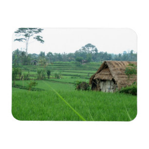 Vietnam-Landschaft Magnet