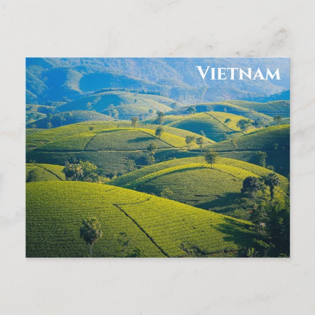 Vietnam Long Coc Teezeremonie auf dem Lande Reisen Postkarte (Vorderseite)