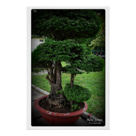 Vietnam Reiseabenteuer Poster