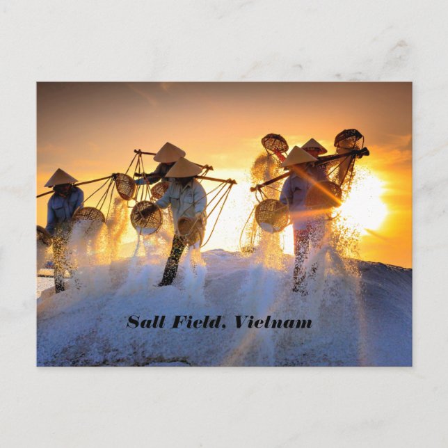 Vietnam Salt Field Postkarte (Vorderseite)