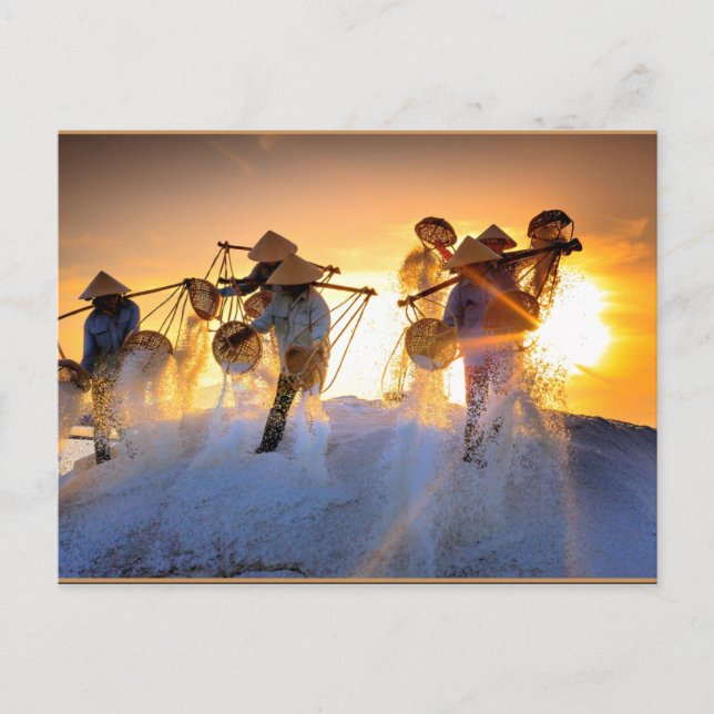 Vietnam Salt Field Postkarte (Vorderseite)