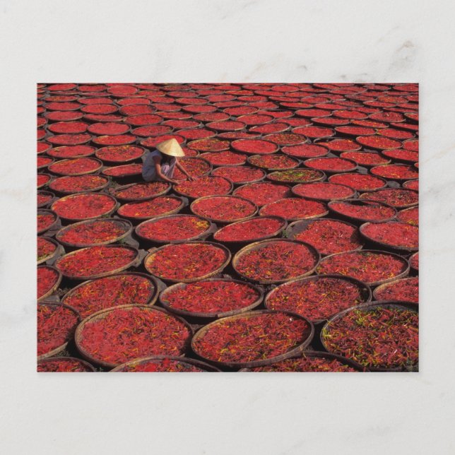 Vietnam. Trocknen von Süßigkeiten in Körben unter  Postkarte (Vorderseite)