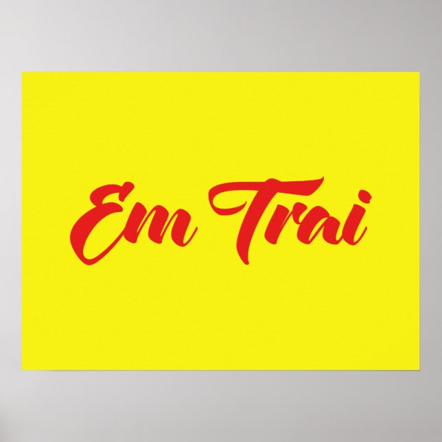Vietnamesisch (jung) Bruder - Em Trai ~ Tietet Viv Poster (Vorne)