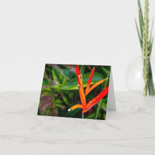 Vietnamesischer Heliconia Jeder Anlass Notecard Dankeskarte