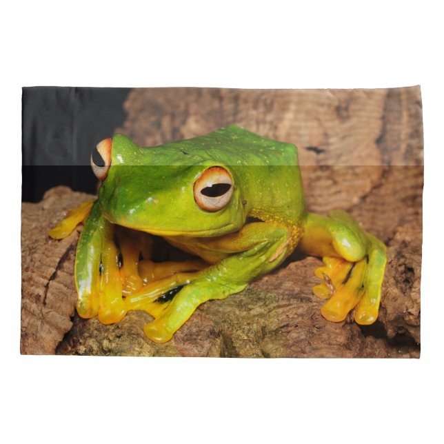 Vietnamesischer Schwarz-Vernetzter gleitener Kissenbezug (Rückseite)