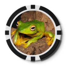 Vietnamesischer Schwarz-Webbed Gliding Frog