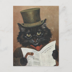 Vieux Chat Journal Postkarte