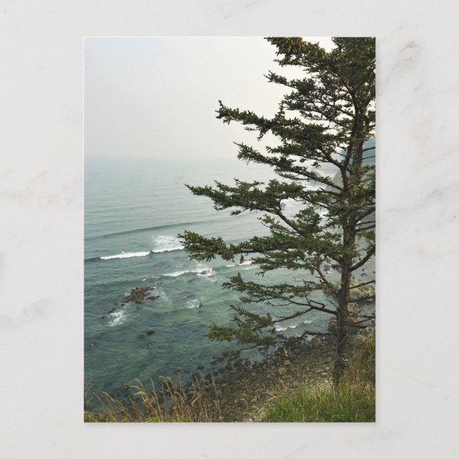View at Simpson Reef Overlook Oregon Coast Postkarte (Vorderseite)