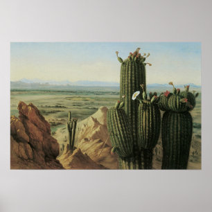 View from Maricopa Mountain Near Rio Gila by Pratt Poster
