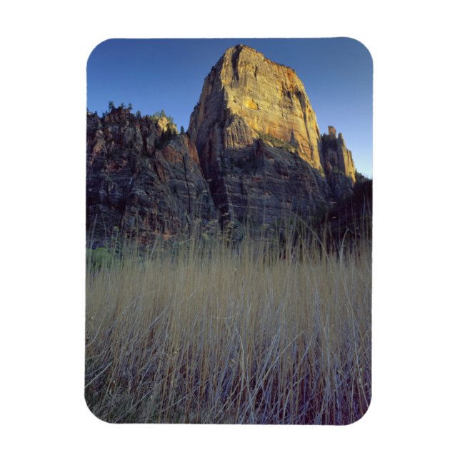View from Virgin River flood plain, Zion Canyon Magnet (Vertikal)