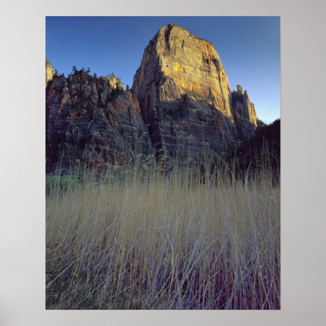 View from Virgin River flood plain, Zion Canyon Poster (Vorne)