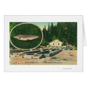 View of Foreut Haven HatcheryGasquet, CA