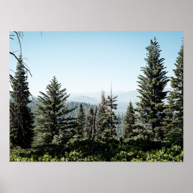 View of Kings Canyon in the Sierra Nevada Forest Poster (Vorne)