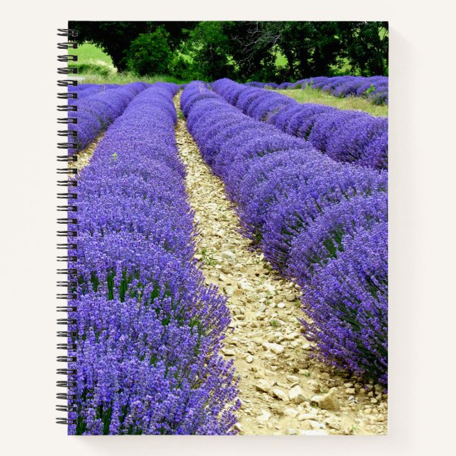 View of lavender fields in the Drôme provencale Notizbuch (Vorderseite)