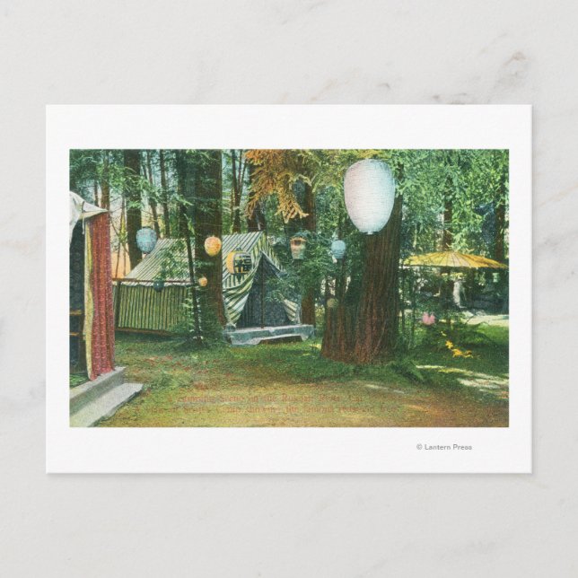View of Scotts Camp, RedwoodsRussian River, CA Postkarte (Vorderseite)