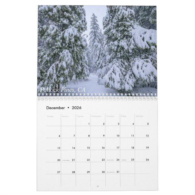 Views of Italy, France and California Calendar Kalender (Dez 2026)