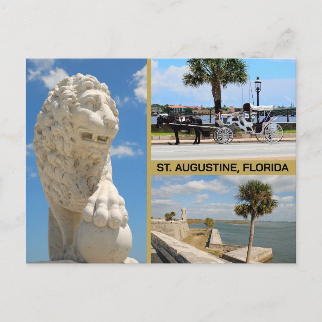Views of St. Augustine, Florida Postkarte (Vorderseite)