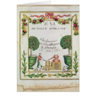 Vignette von 'Eau de Fleur d'Orange