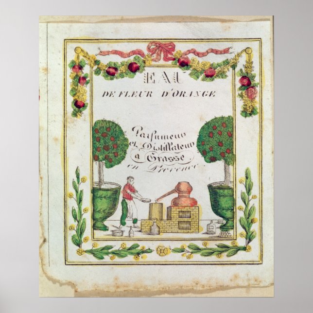 Vignette von Eau de Fleur d'Orange Poster (Vorne)