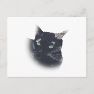 Vignette von Tortoise Muschel Katzengesicht Postka Postkarte