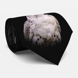 Vignetted Portrait eines inquisitiven Saker Falken Krawatte