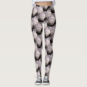 Vignetted Portrait eines inquisitiven Saker Falken Leggings