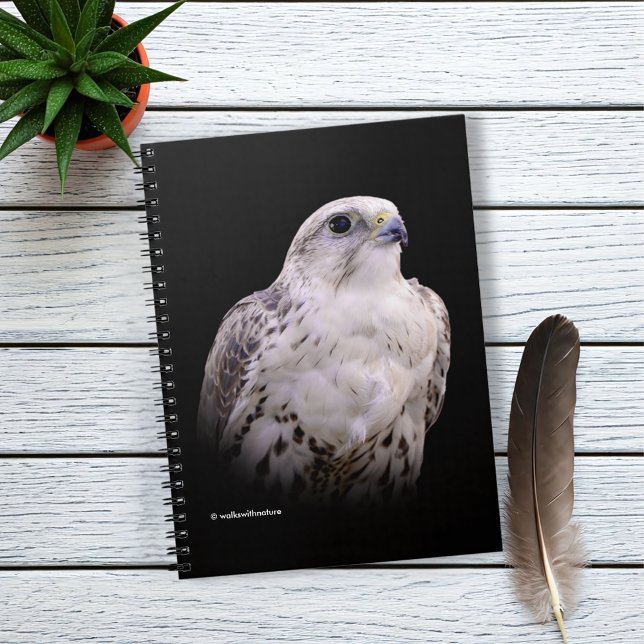 Vignetted Portrait eines inquisitiven Saker Falken Notizblock (Vignette Profile of a Saker Falcon Journal Cover Photo)