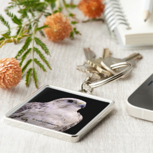 Vignetted Portrait eines inquisitiven Saker Falken Schlüsselanhänger