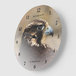 Vignetted Profil eines Wanderfalken Große Wanduhr